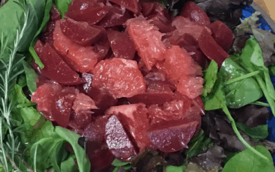 Warm Honey, Grapefruit, and Beet Salad with Rustlin’ Rob’s Pickled Beets